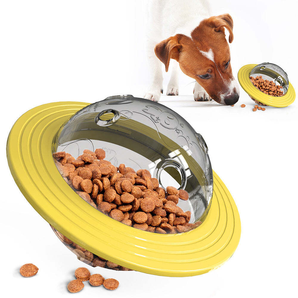 Dog Food Dispensing Frisbee