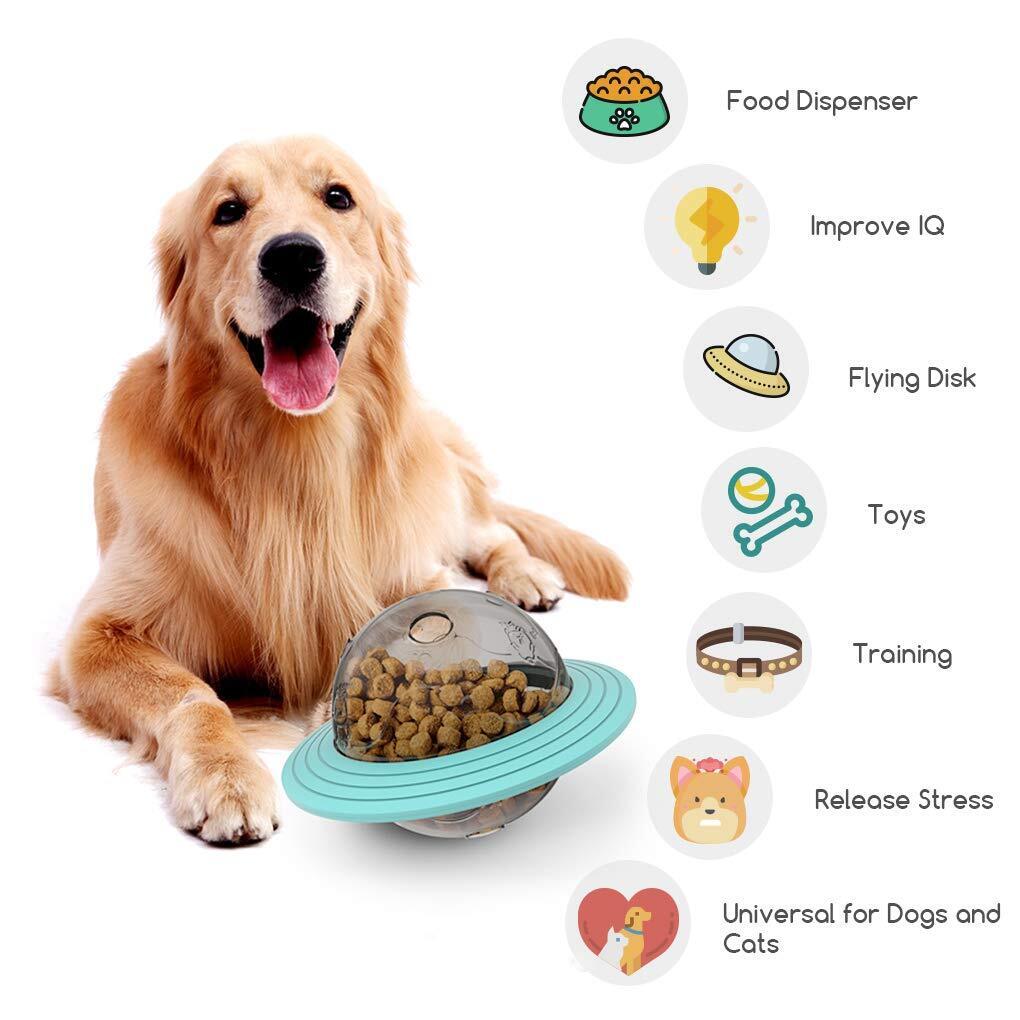Dog Food Dispensing Frisbee