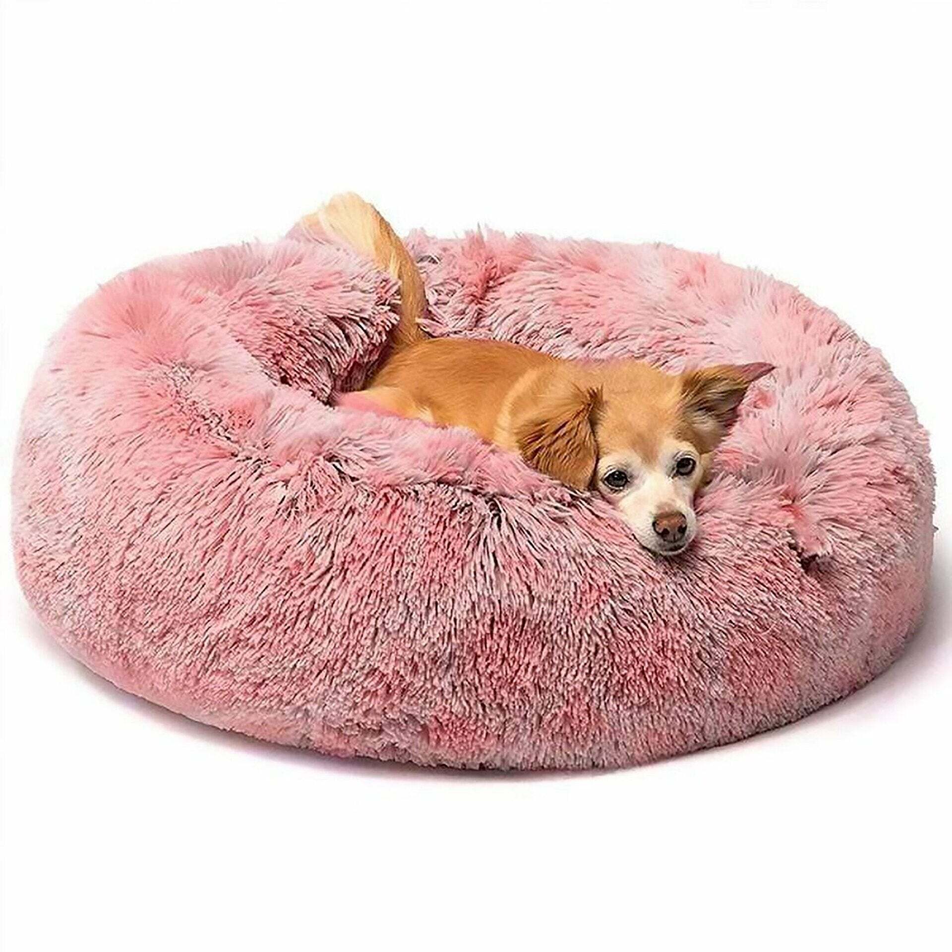 【Buy One Get One Free】Best Bed for Pet`s
