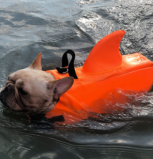 Shark Life Vest
