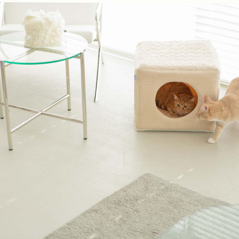 Enclosed DualPurpose Foldable Cat Sofa Bed symmosa