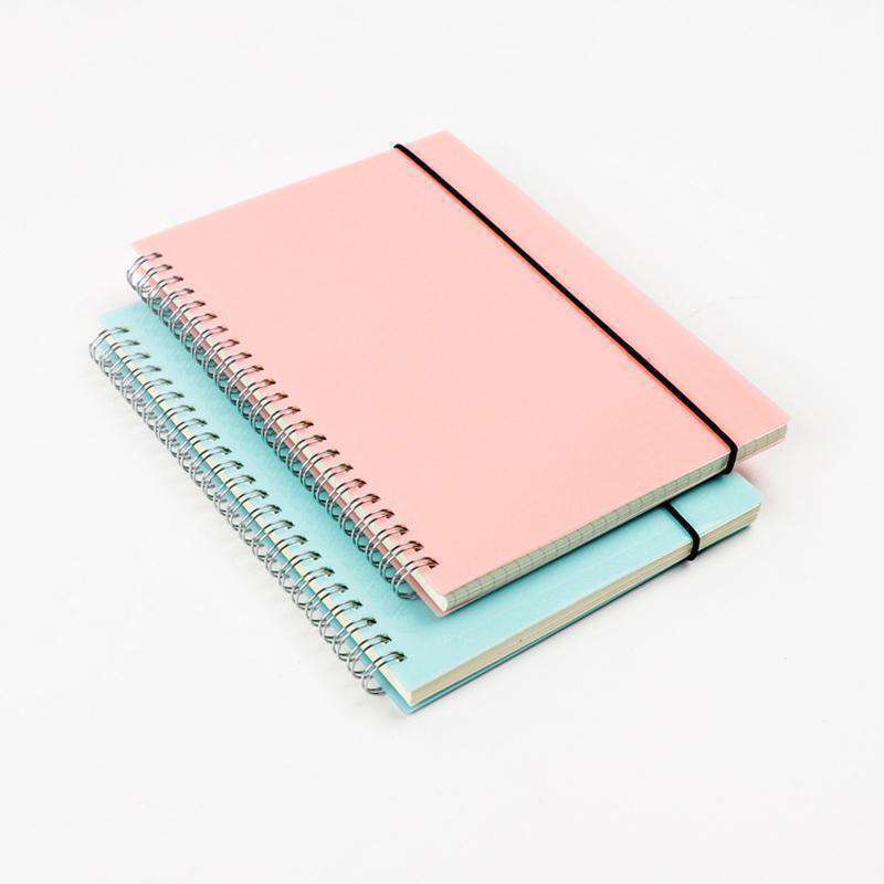 Blue & Pink Bullet Journals