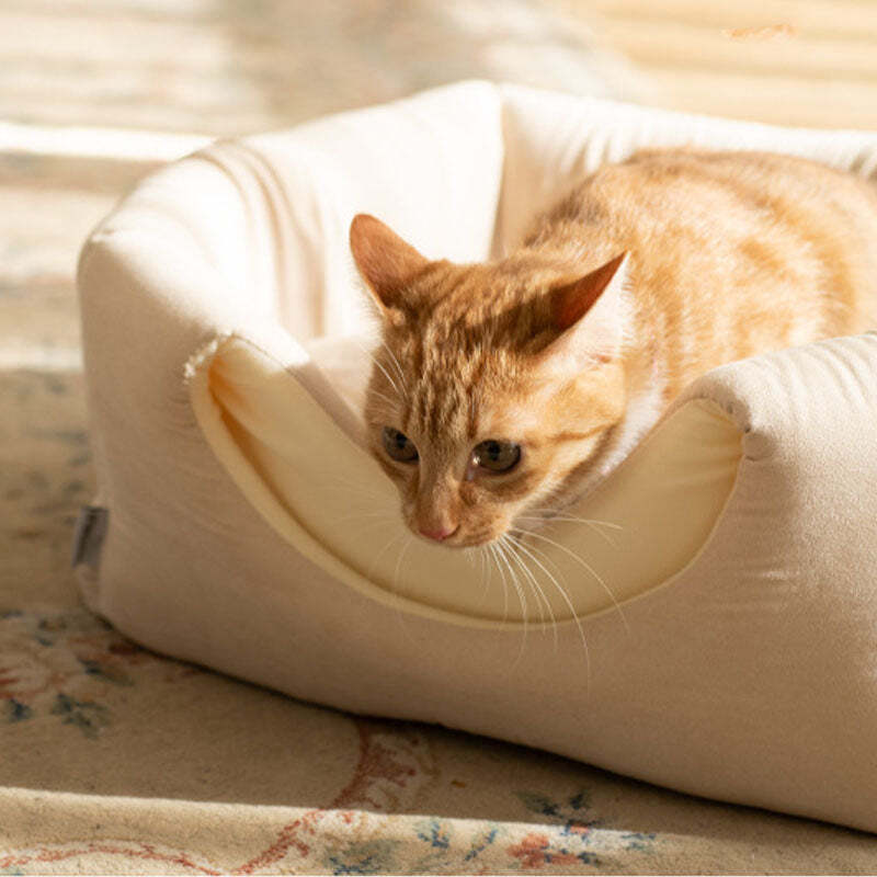 Enclosed DualPurpose Foldable Cat Sofa Bed symmosa