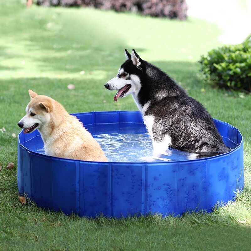 Foldable Dog Pool Pet Bath