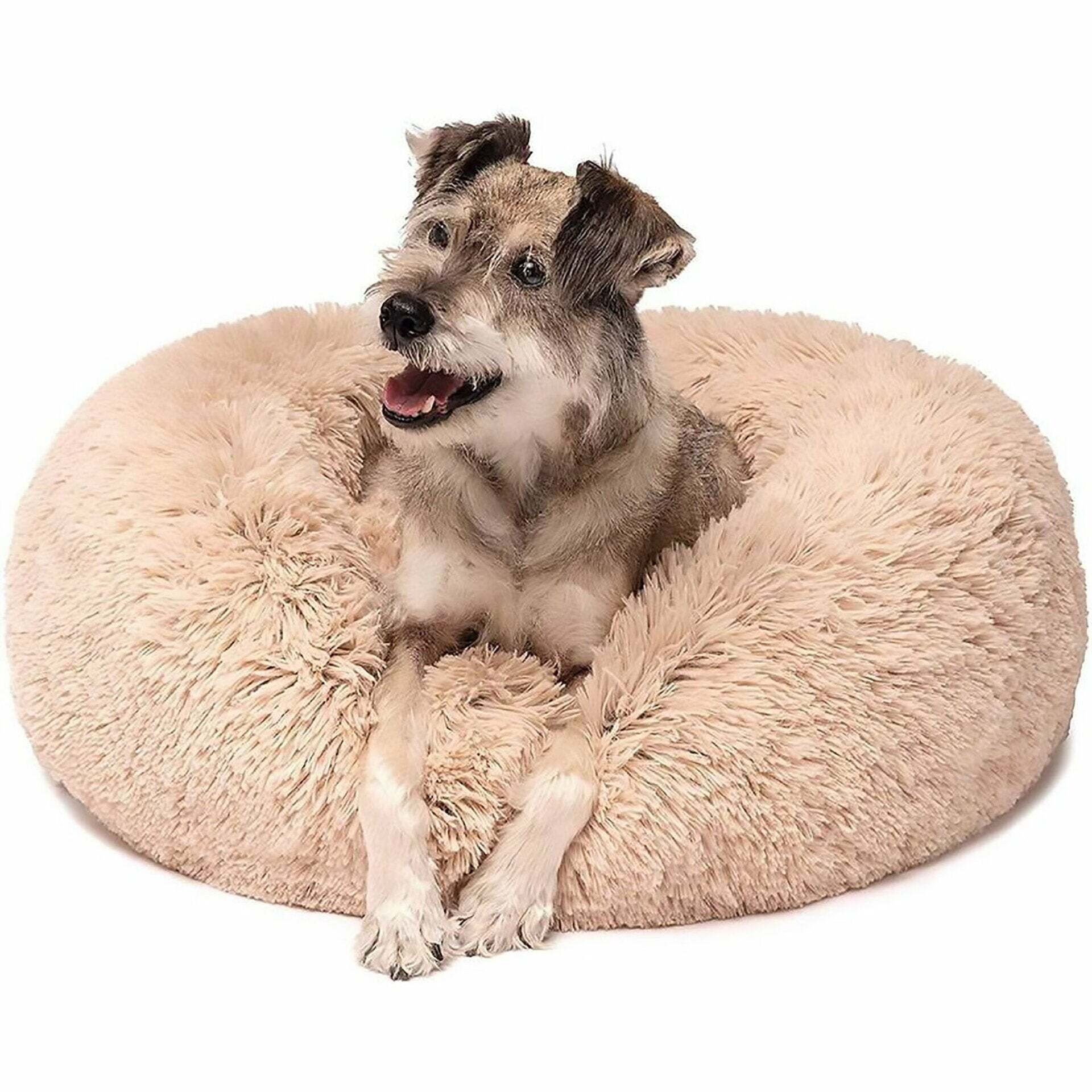【Buy One Get One Free】Best Bed for Pet`s