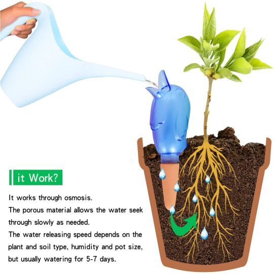 💖 Arbor Day Hot Sale-50%Off🔥Self Watering Spike Planter Drip Watering Bird🌱(80ML)
