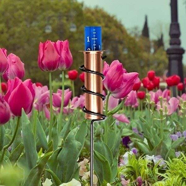 Copper Rain Gauge Aufzoom