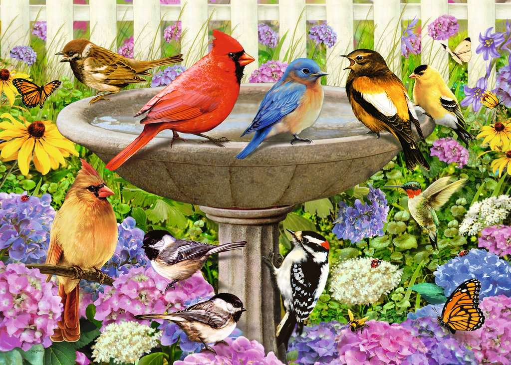 At the Birdbath 500 Piece Puzzle - Hidden Discount Stores